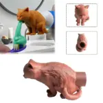 Funny Cat Toothpaste Dispenser for Bathroom